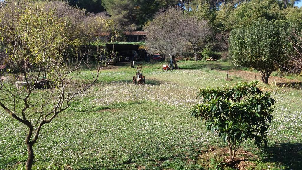 Du Pin Casa de Férias Aubagne